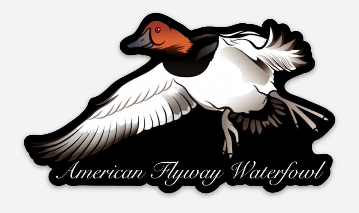 American Flyway Waterfowl Canvasback Sticker