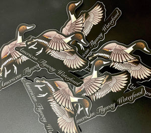 American Flyway Waterfowl PINTAIL STICKER