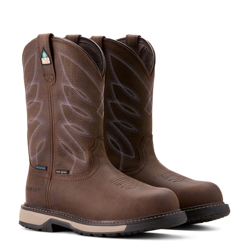 Ariat glacier boots store