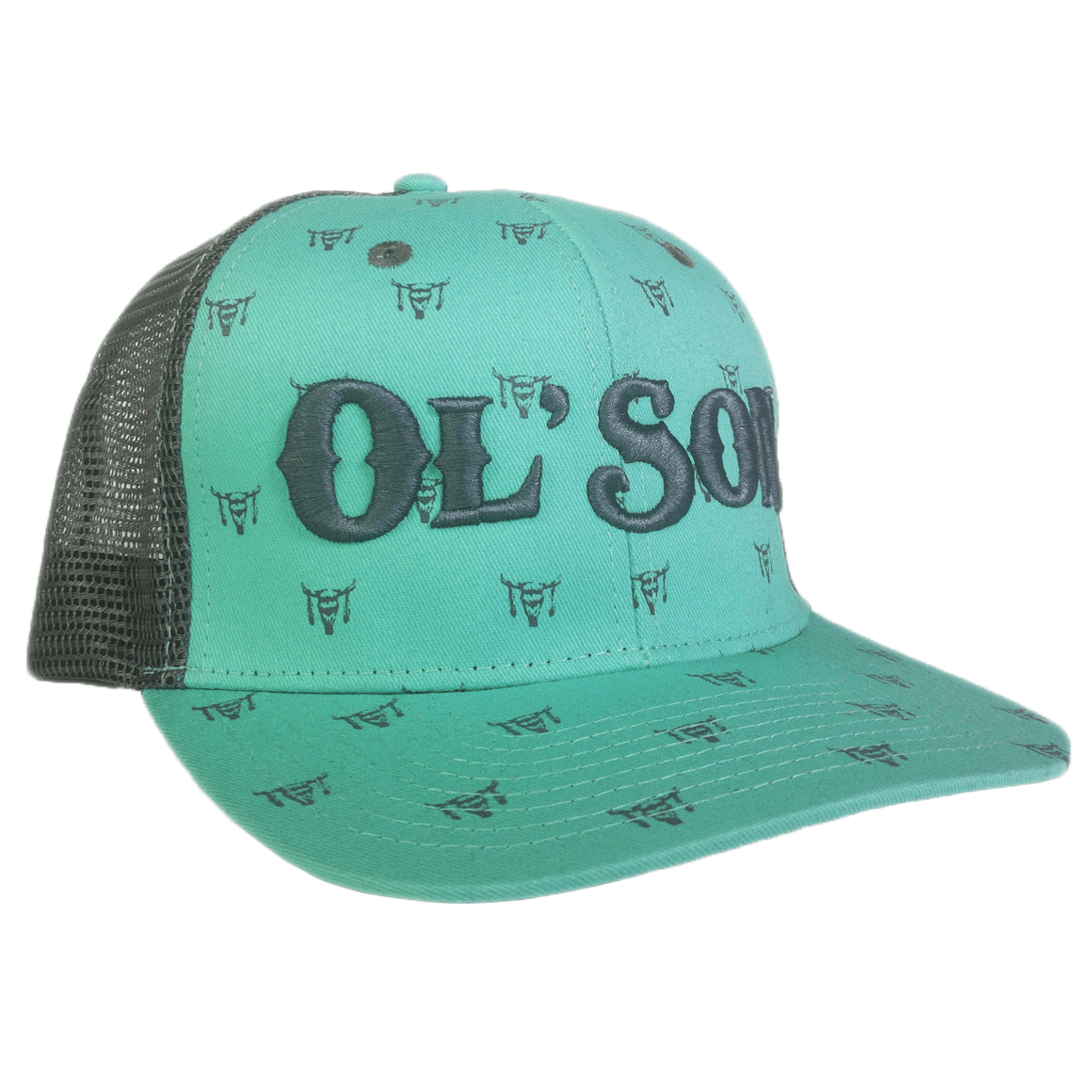 Dale Brisby's Rodeo Time Cap Ol' Son Light Green Mesh Skull Print Flatbill