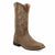 Twisted X Boots 11" Top Hand-WTH0012