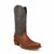 Twisted X Boots 13" Reserve Boot-MXPL002