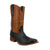 TWISTED X BOOTS Boots Twisted X Men's Black & Pumpkin Rancher Western Boot MRAL038