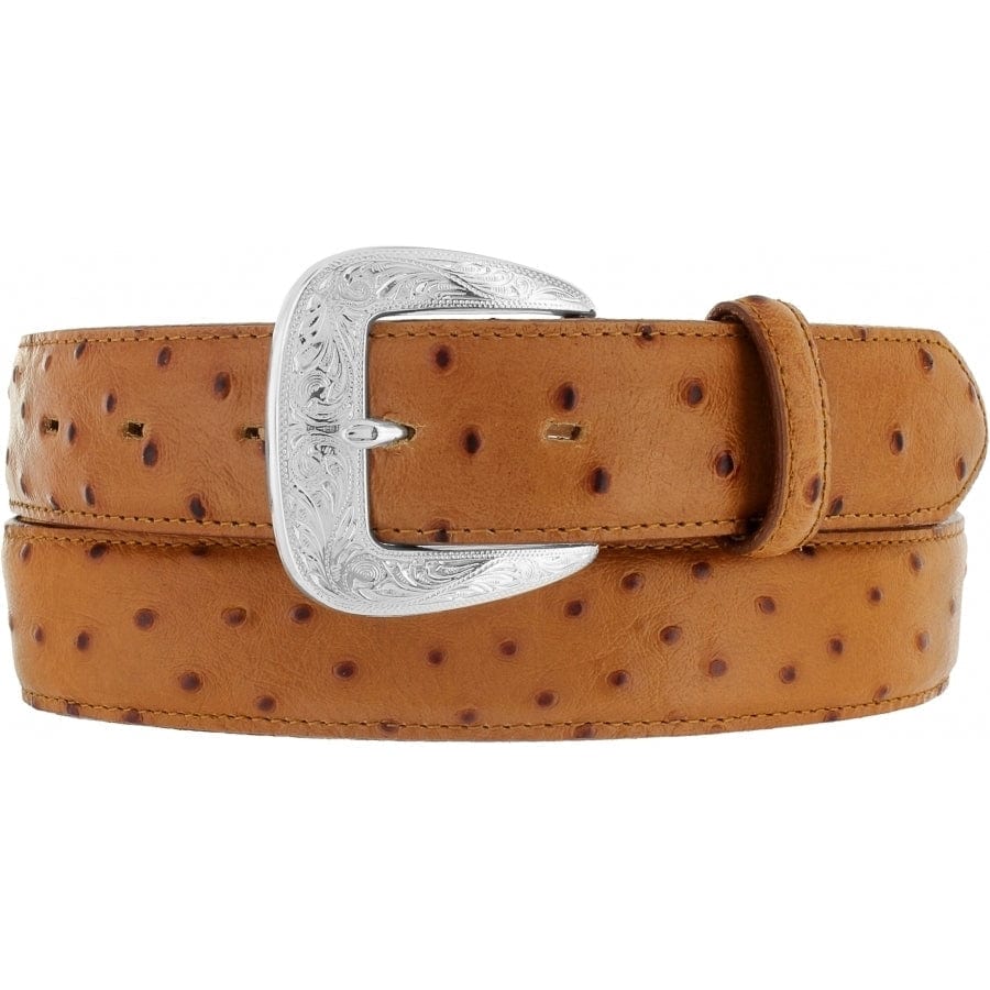Tony Lama Men s Brown Ostrich Print Belt 1377L Russell s Western Wear Inc